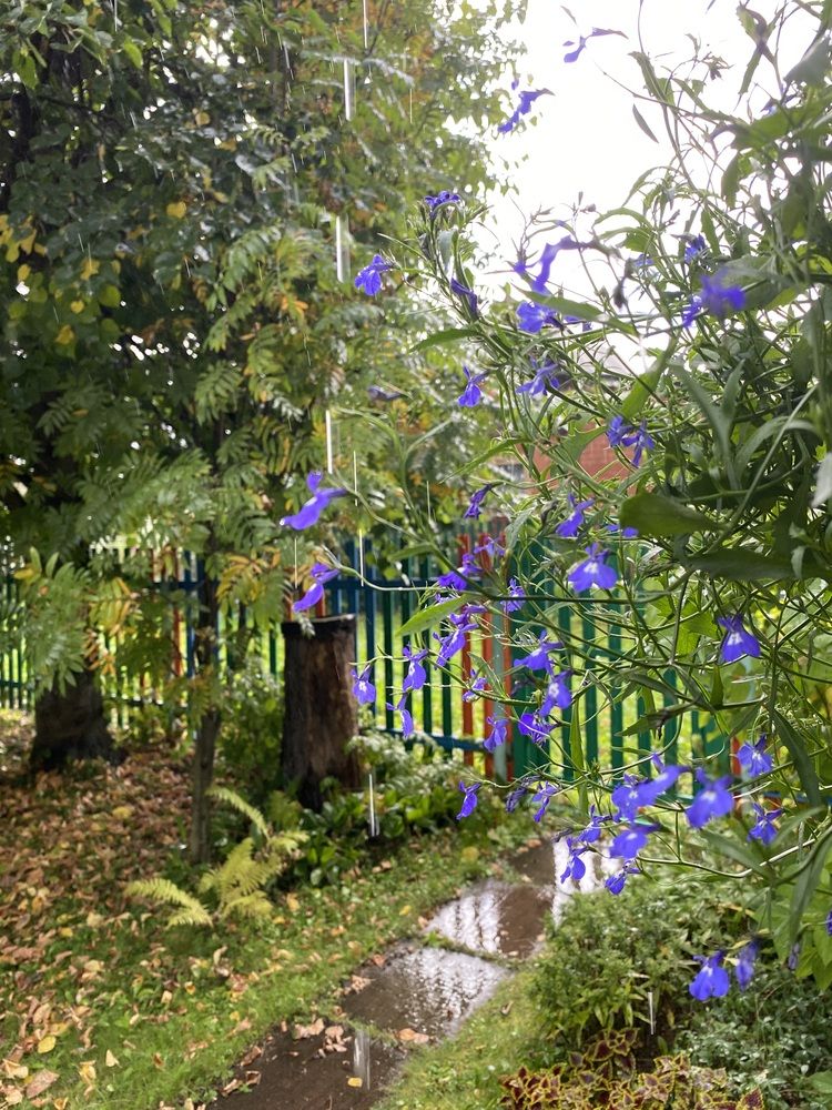 Photograph by Алиса Лукина