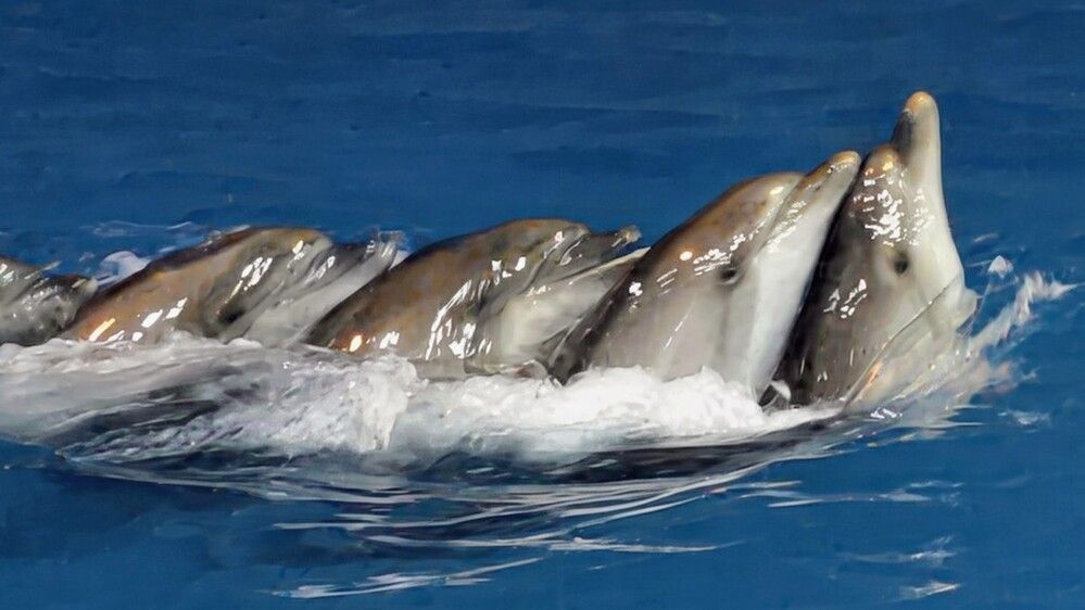 Photograph by Lilit Petrosyan