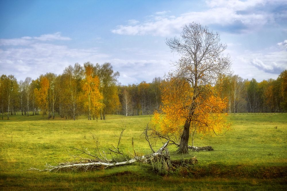 Photograph by Юлия Лушникова