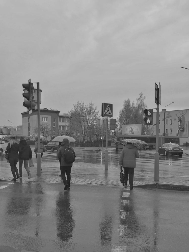 Photograph by Ирина Семенович