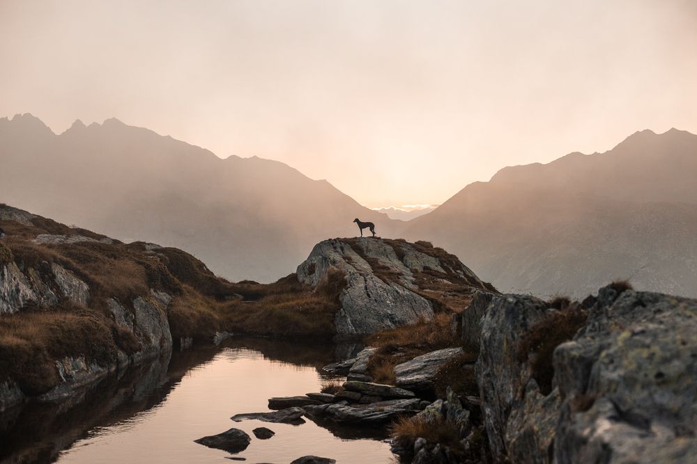 Photograph by Fabienne Gassmann