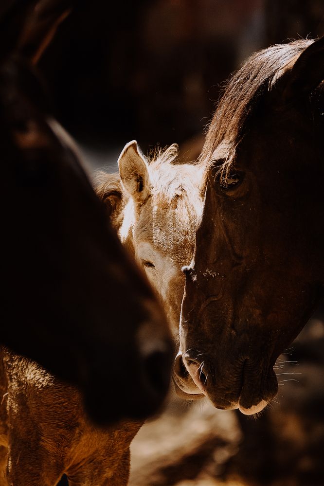 Photograph by Fabienne Gassmann