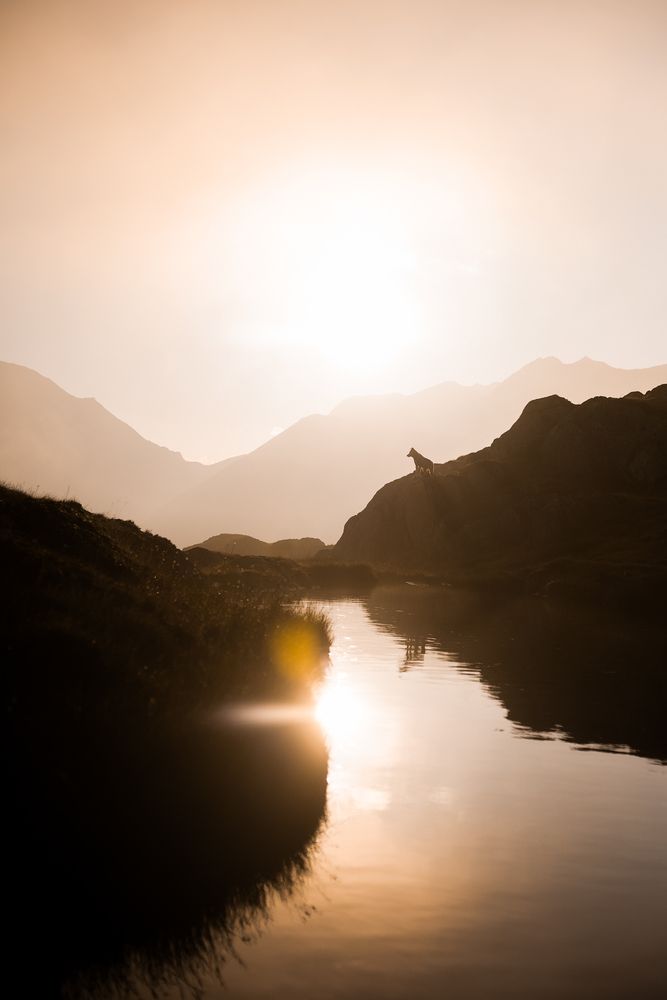 Photograph by Fabienne Gassmann