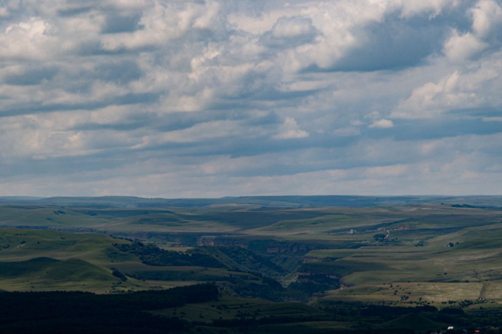 Фотография автора Мария Степина