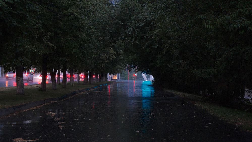 Photograph by Анастасия Белоусова