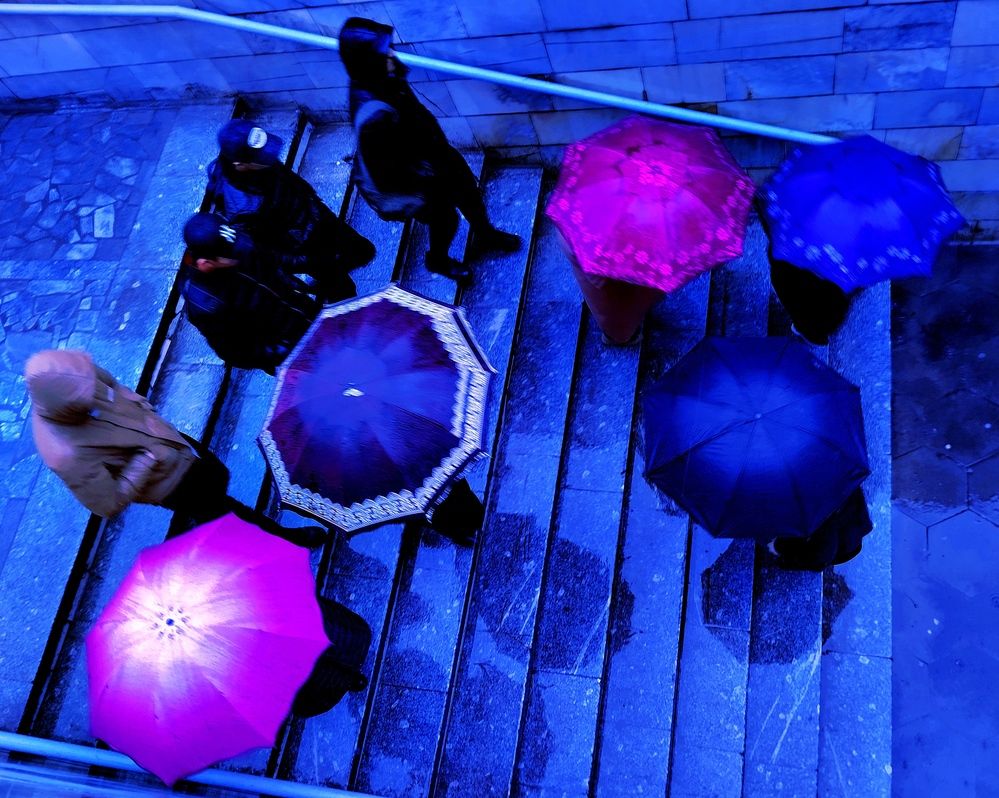 Photograph by Владимир Ким