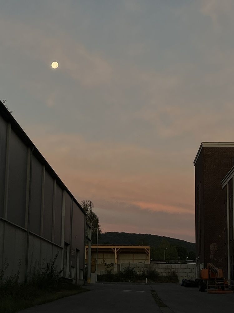 Photograph by Eugenia Schmidt