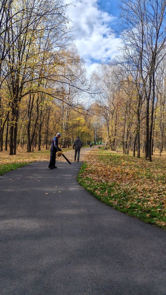 Фотография автора Наталья Шендяпина