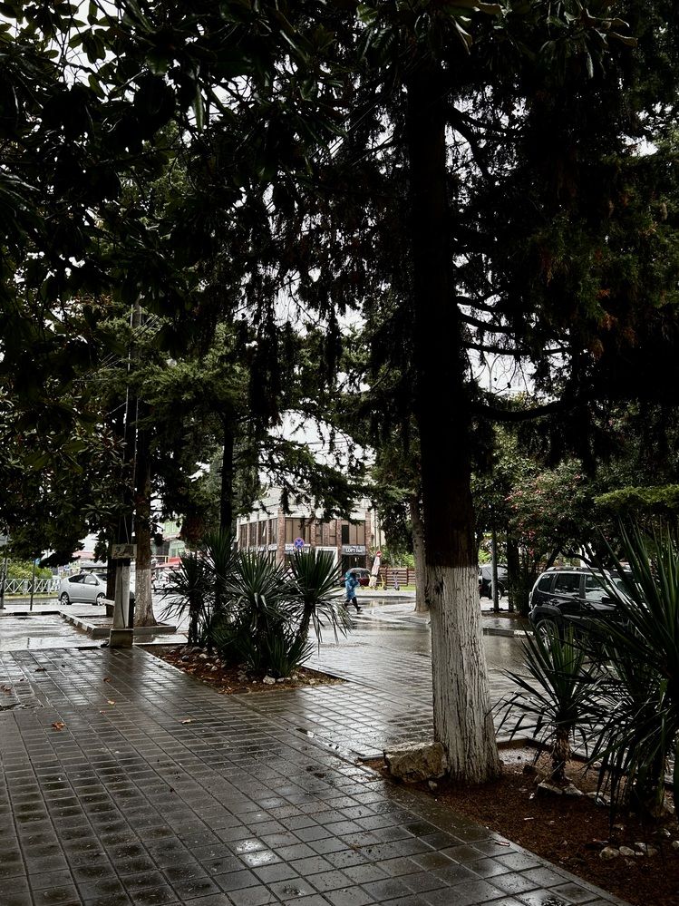 Photograph by Юлия Конопелкина