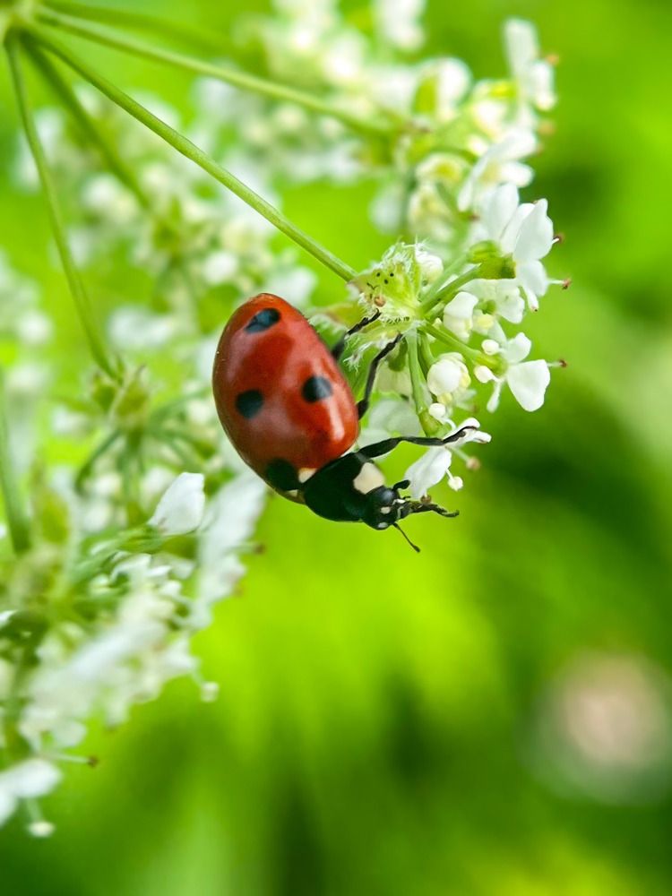 Photograph by Наталия Соболева