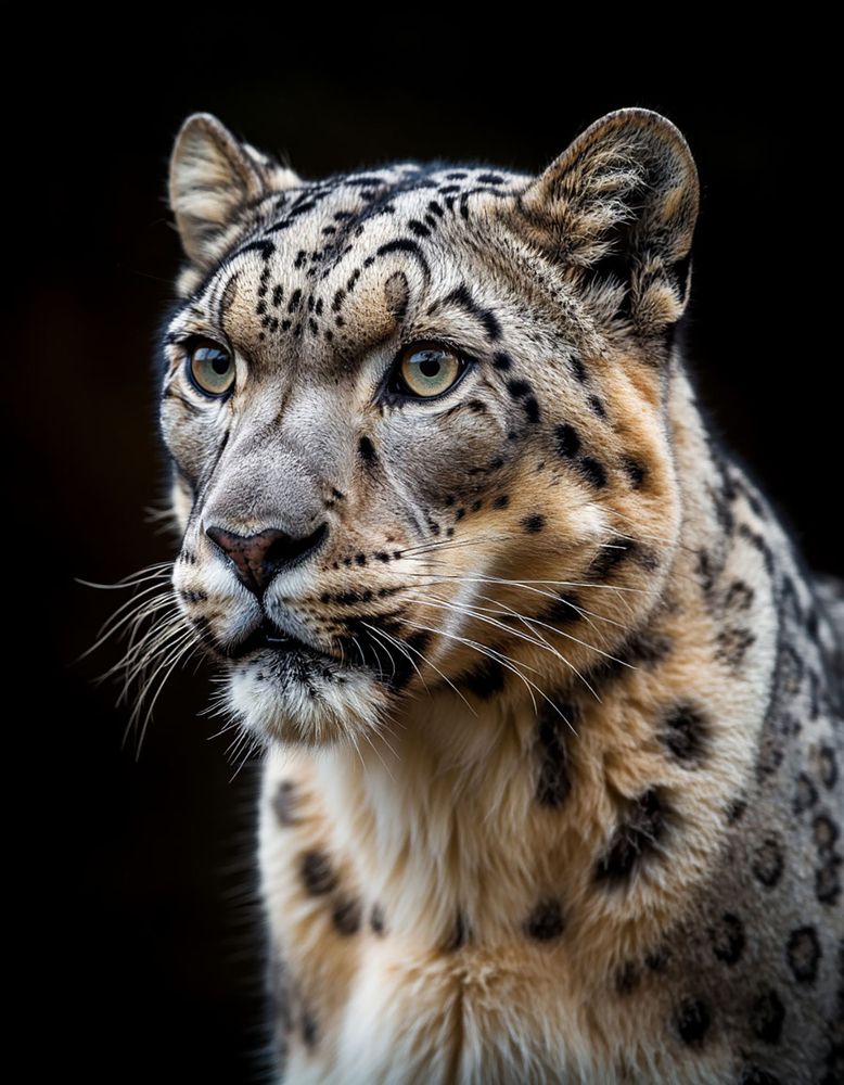 Photograph by Юрий Юрьевич Подгрушный