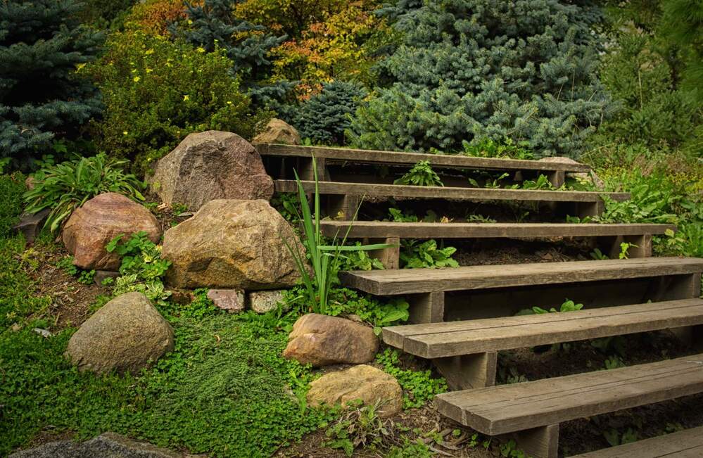 Фотография автора Александра