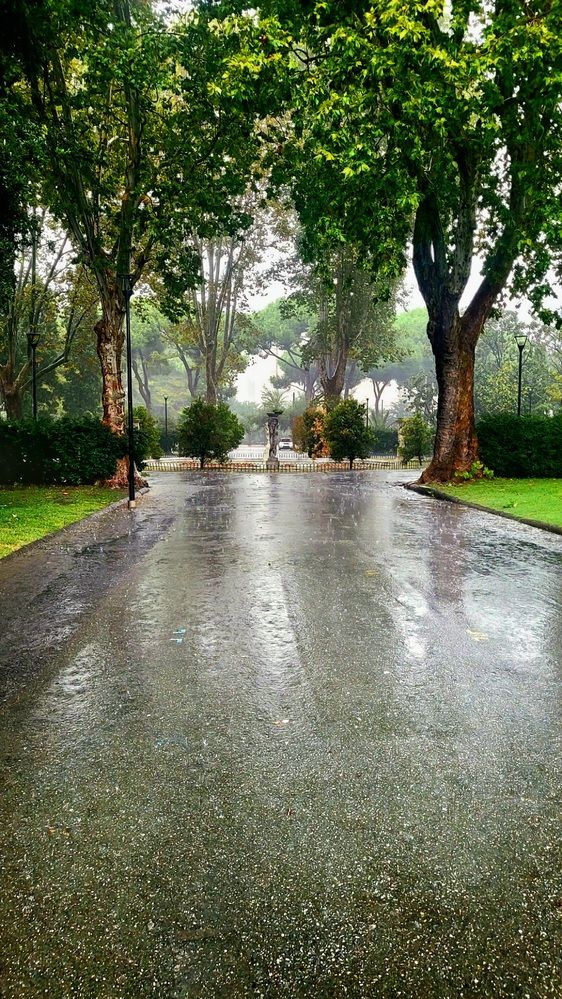 Photograph by claudia