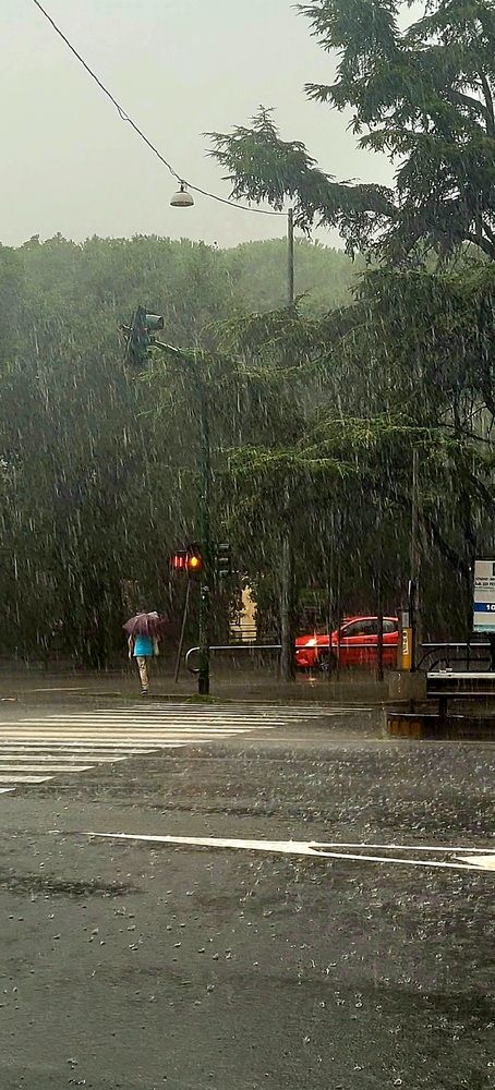 Photograph by claudia