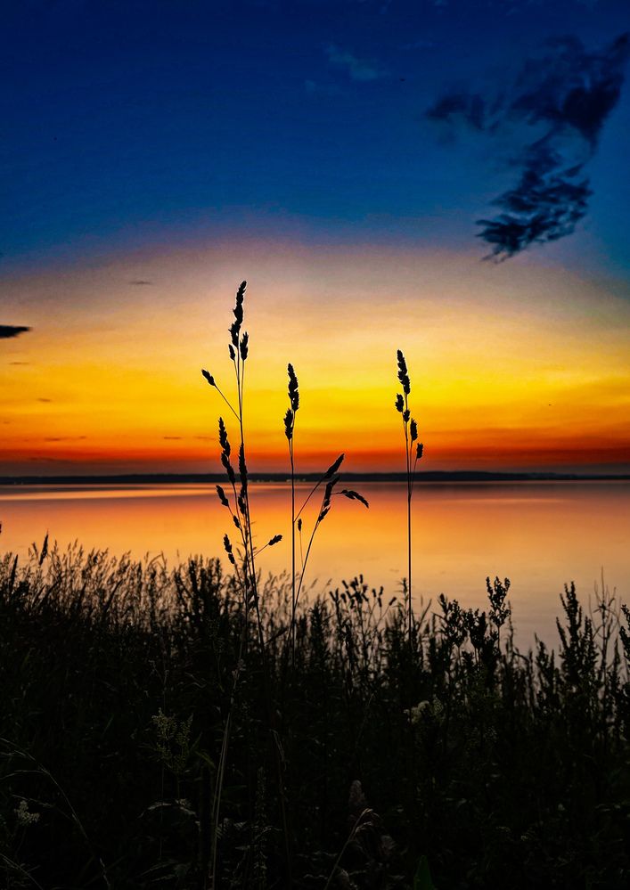 Photograph by Наталия Соболева