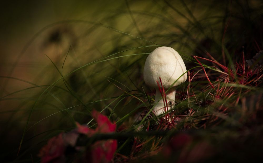 Photograph by Константин Искучеков