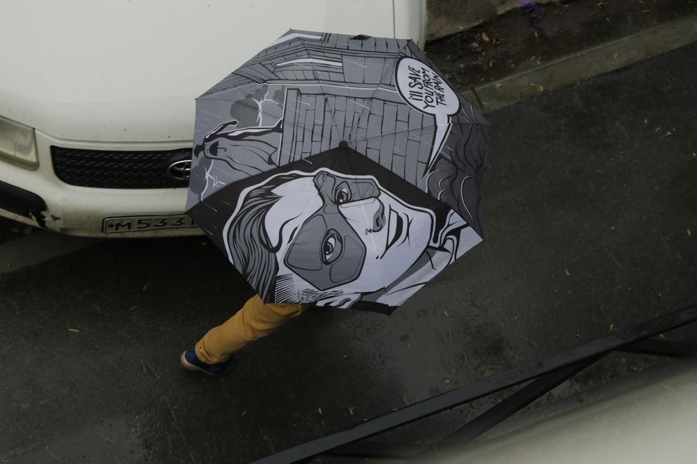 Photograph by Александр Велигура