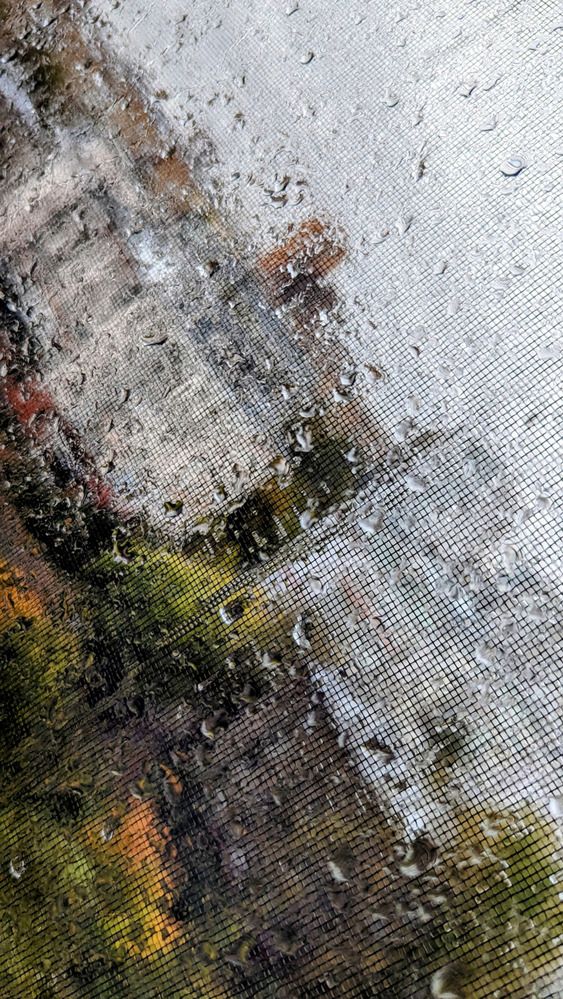 Photograph by Наталия Васина