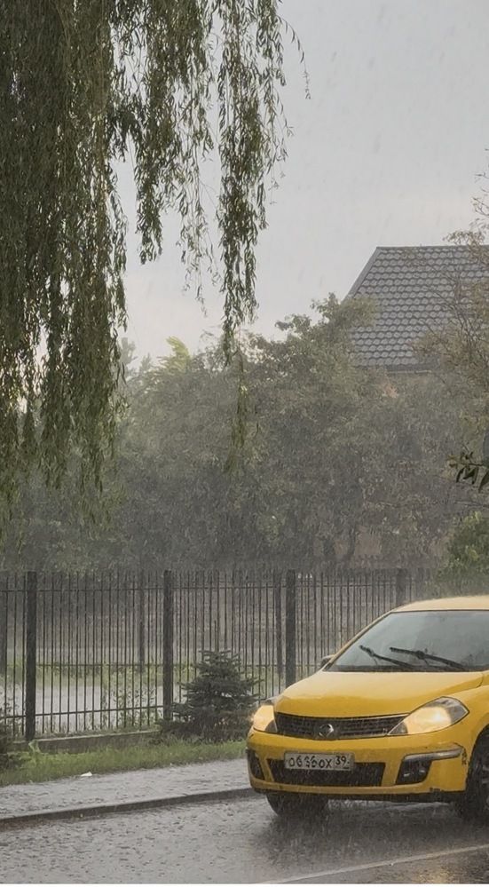 Photograph by Жанна Колесникова