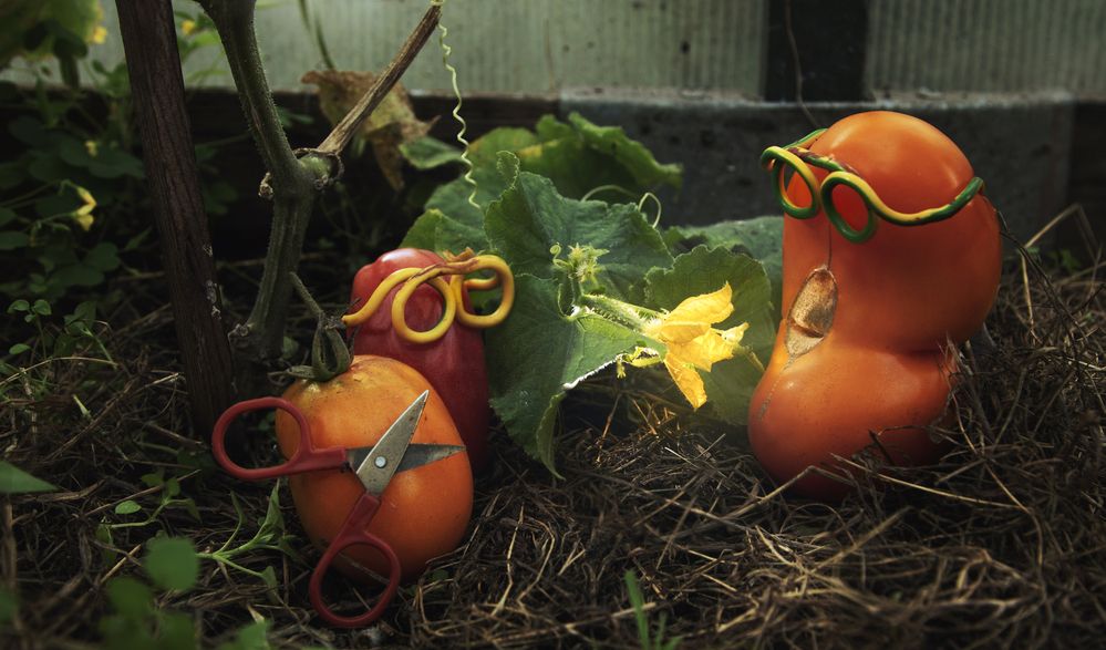 Обнаружение вражеской радиостанции.