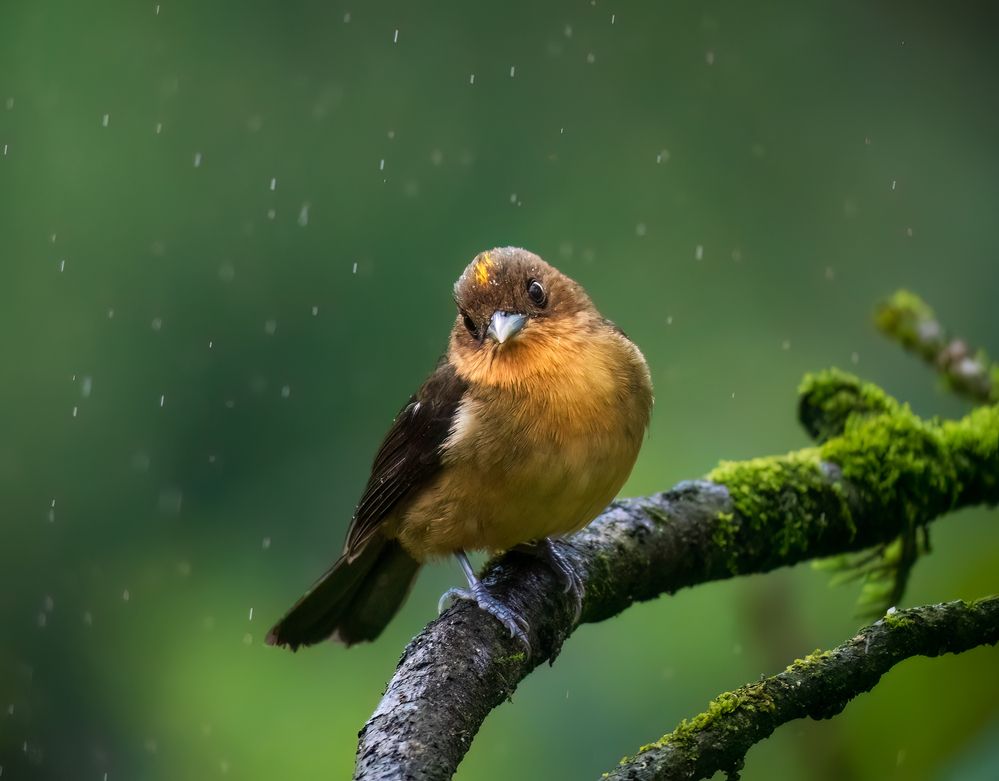 Photograph by Valdir Hobus