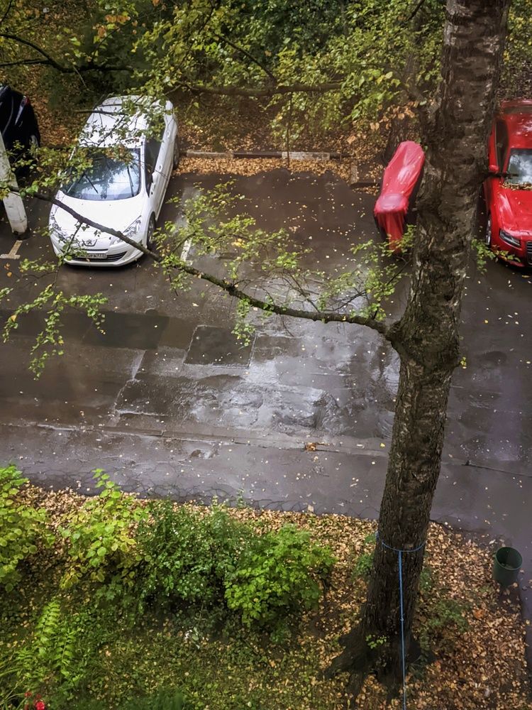 Photograph by Sergey Kurkov-Tarkovsky