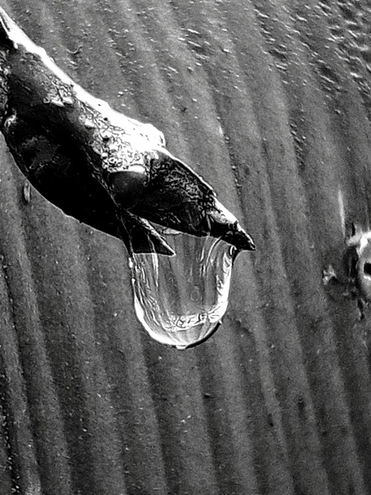 Photograph by Екатерина Казырицкая