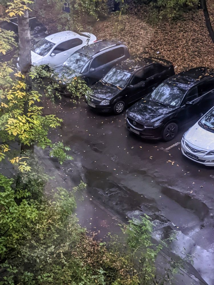 Photograph by Sergey Kurkov-Tarkovsky