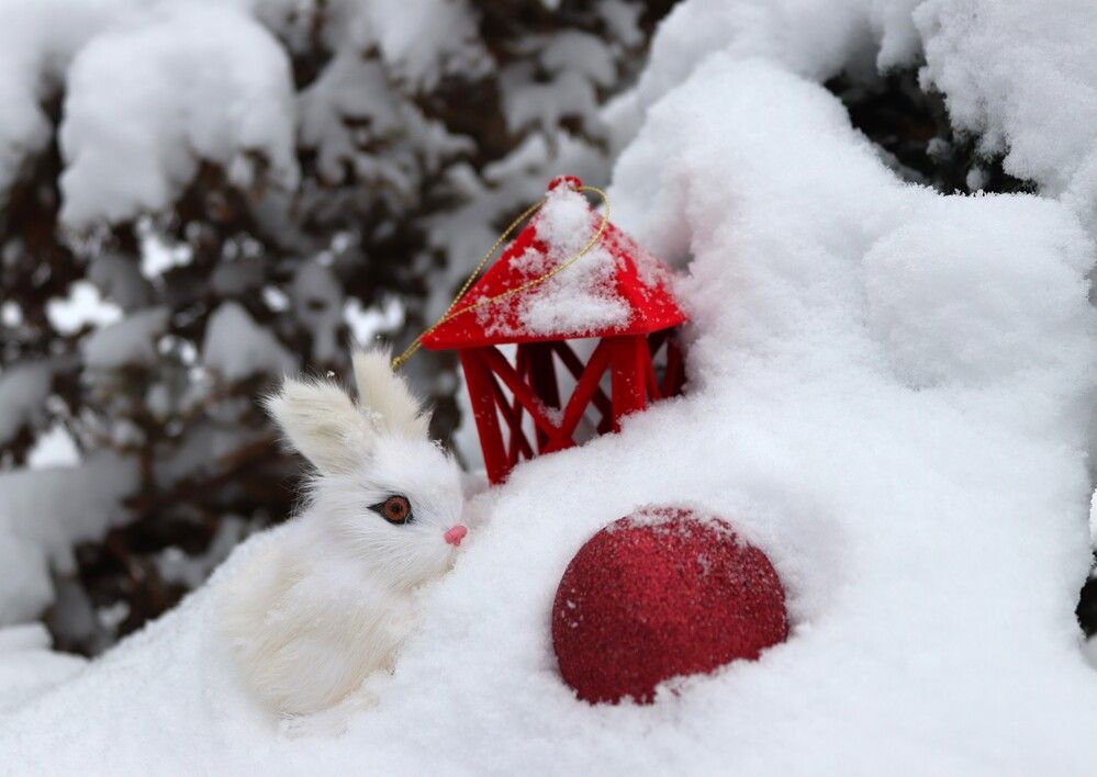 Photograph by Ирина Садовникова