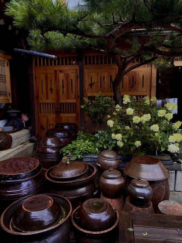 Photograph by Светлана