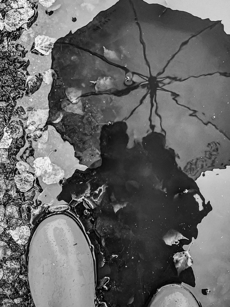 Photograph by Елена Башмакова