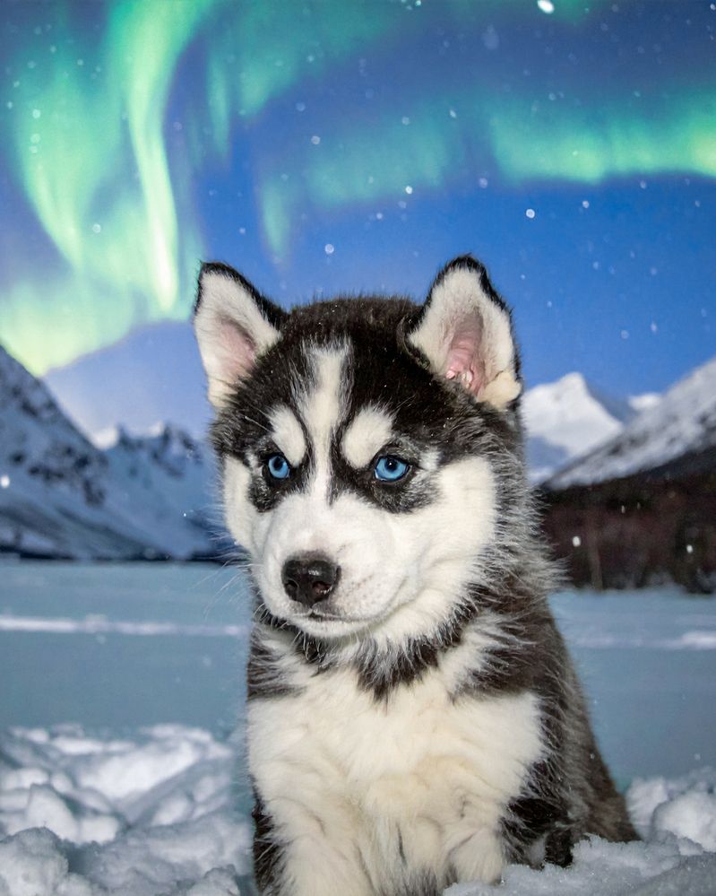 Photograph by Alexandra Sergeeva