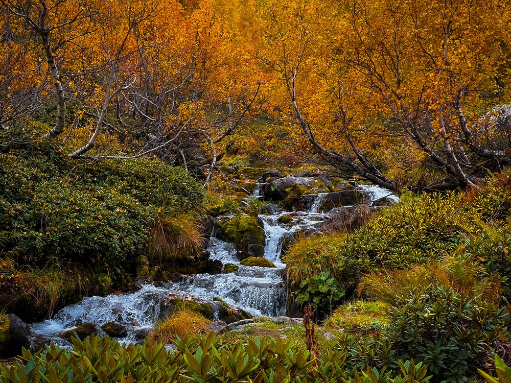 Photograph by Анастасия Дулова