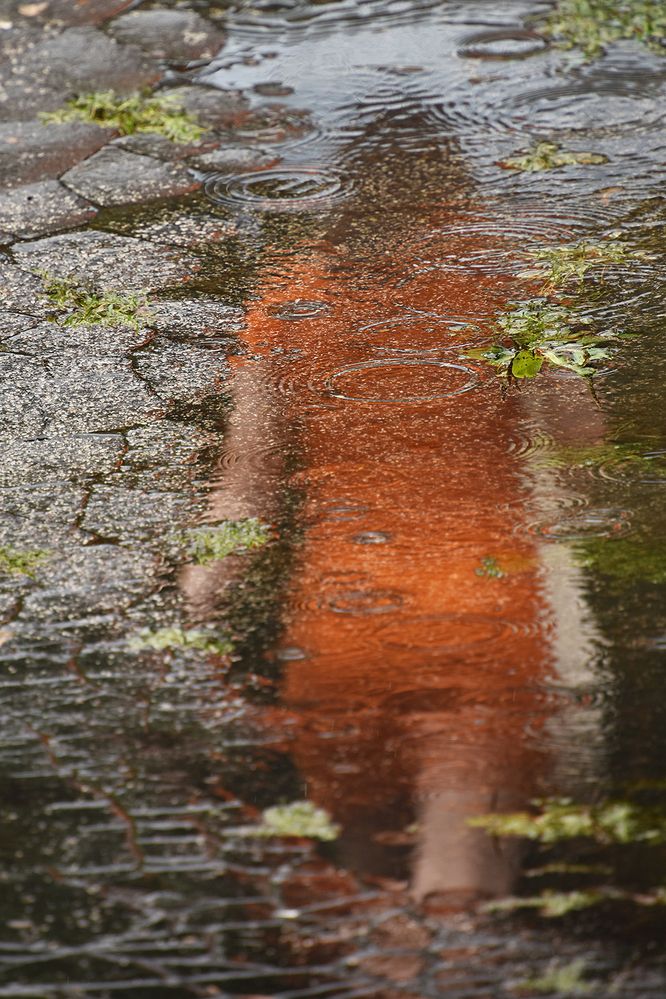 Photograph by Bob Gajdoš