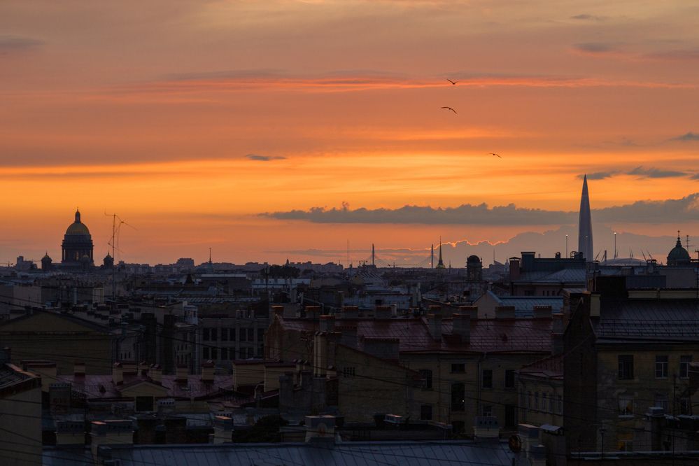 Photograph by Юлия Алексейчикова