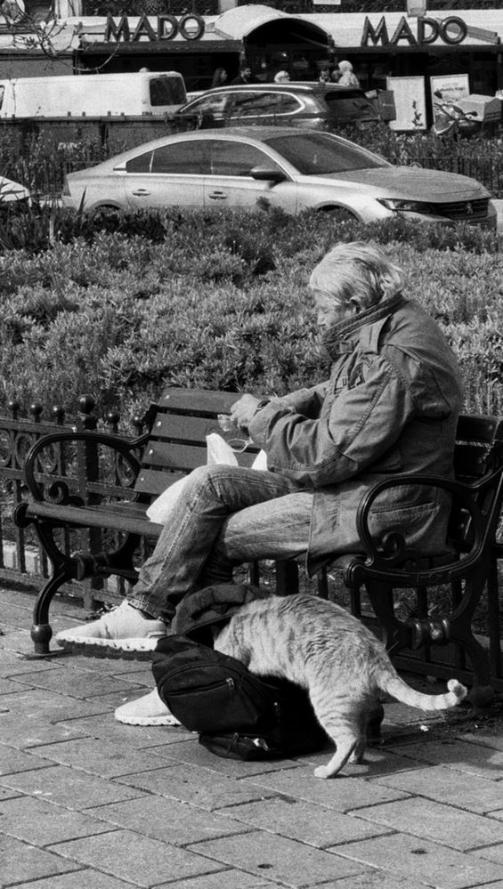 Photograph by Алена Тутыхина