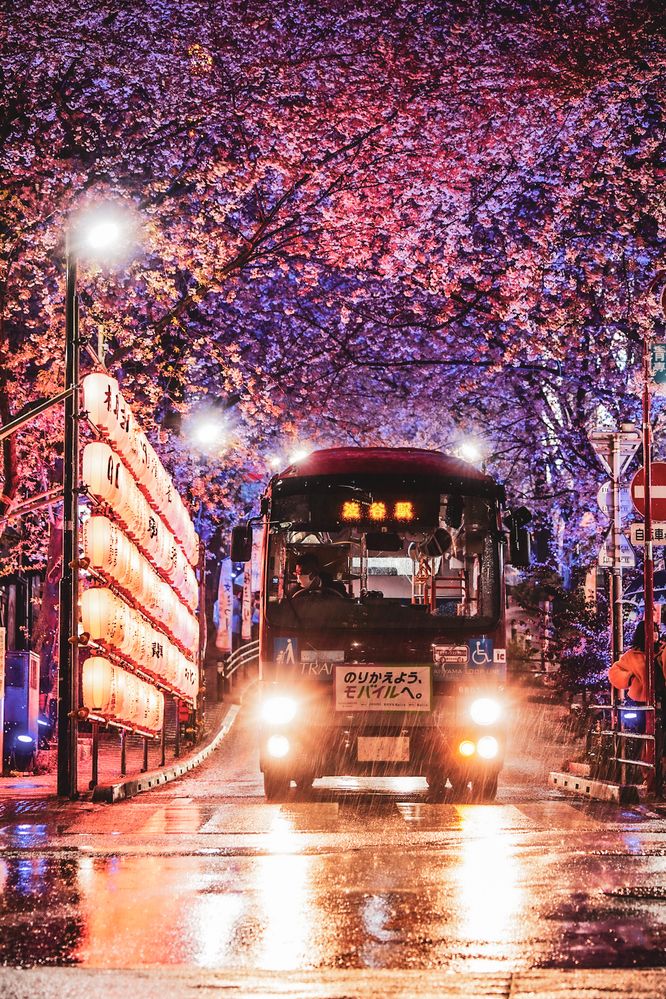 Photograph by TamaU TamaU