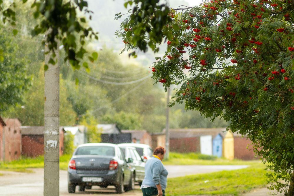 Фотография автора Aamoda Kitchen