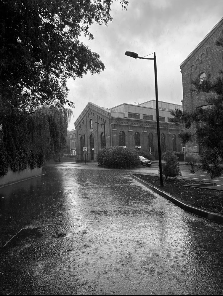 Photograph by Яна Лугинина