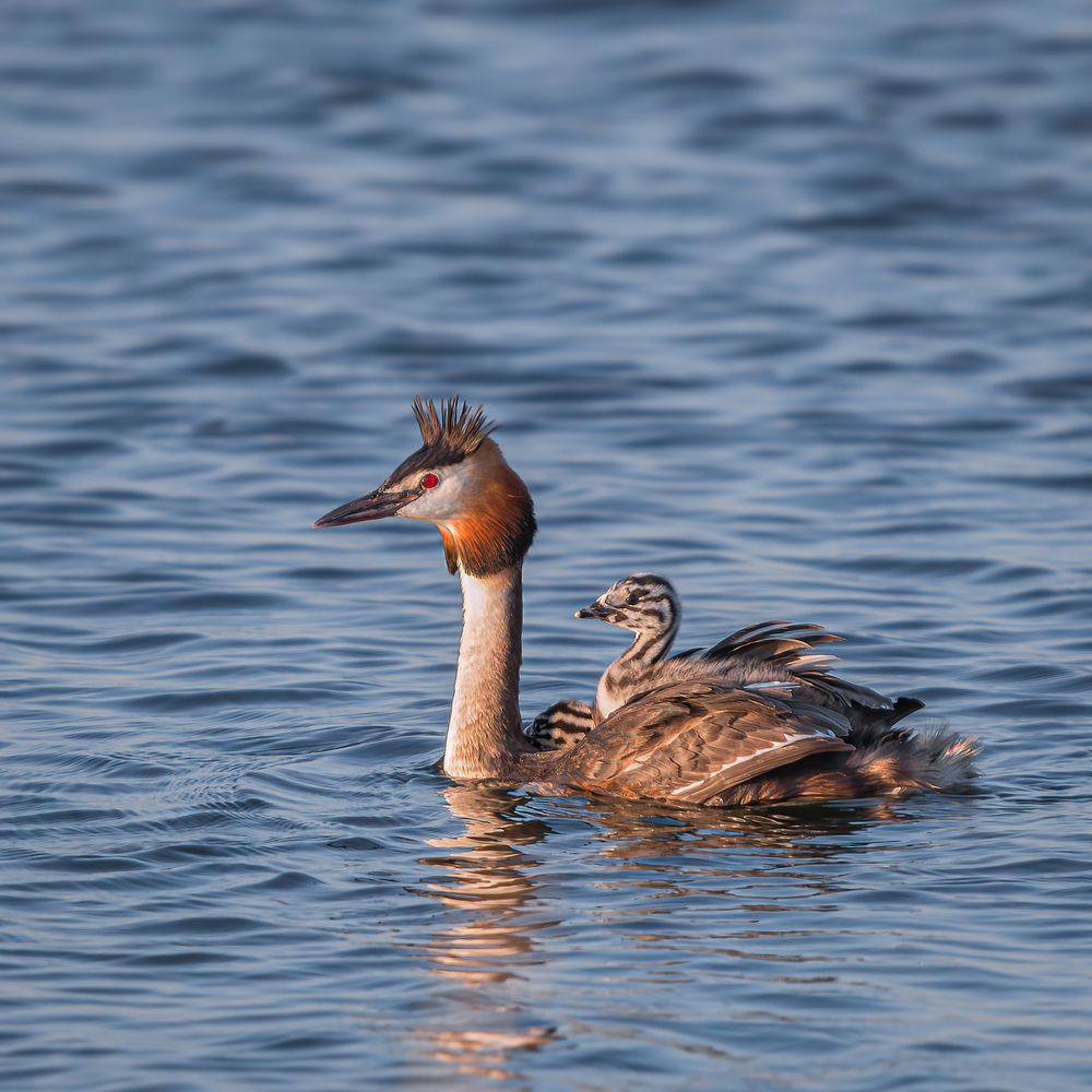 Photograph by Олег Белан