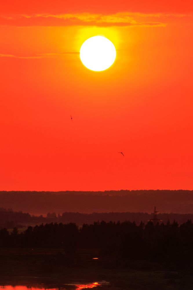 Фотография автора Aamoda Kitchen