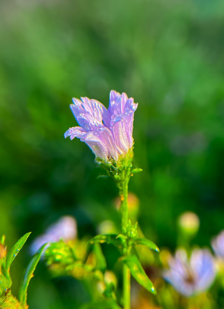 Photograph by Наталия Соболева