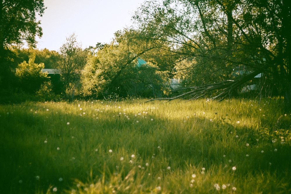 Photograph by Алексей Морозов