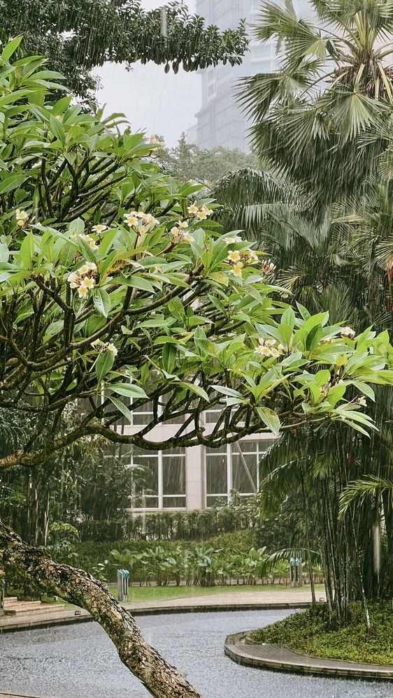 Photograph by Анастасия Дулова