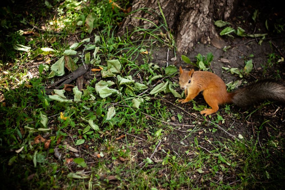 Photograph by Алексей Морозов