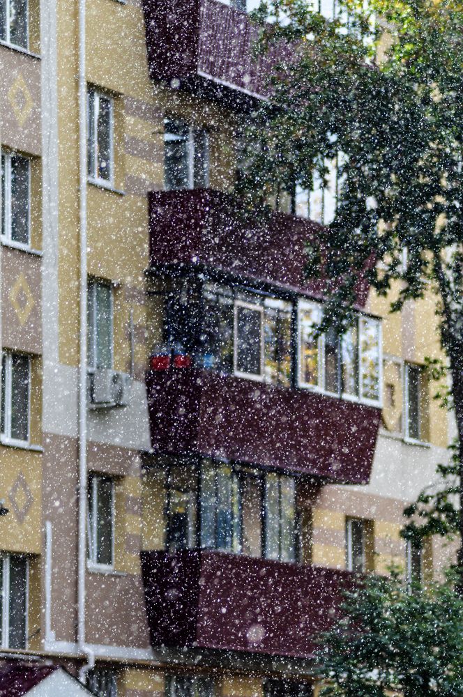 Photograph by Анастасия Тазиева