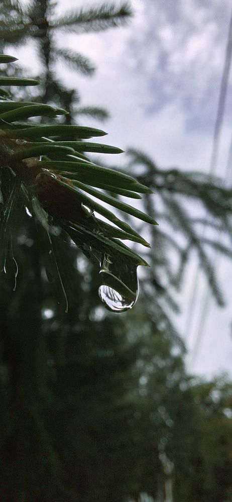 Photograph by Анастасия Тазиева