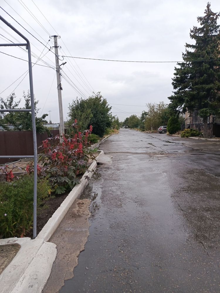 Photograph by Татьяна Пальчикова