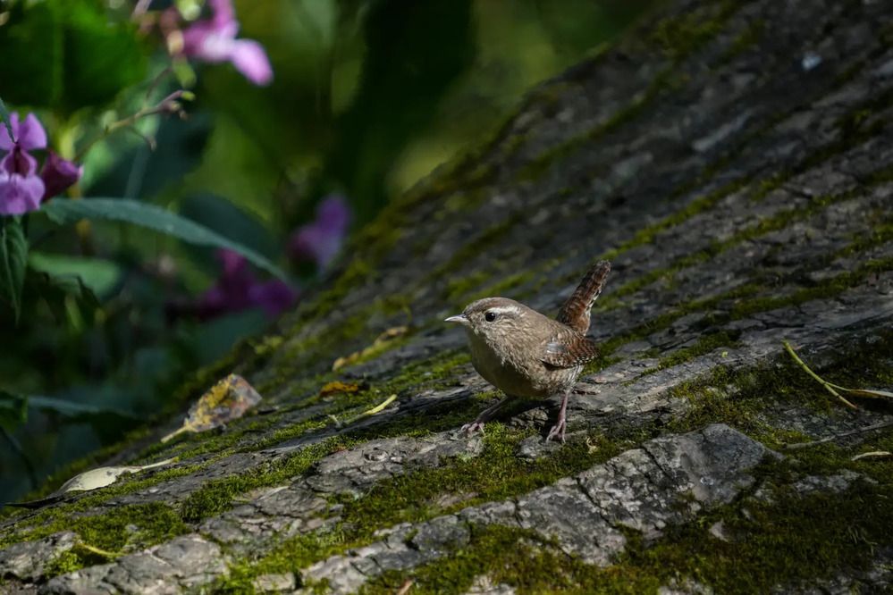 Photograph by Духанин Сергей