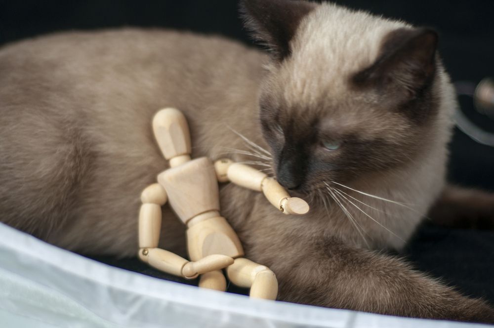 Photograph by Наталья Сергеевна Крылова